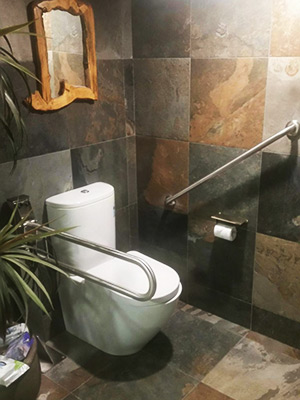 Toilet and bathroom safety rails